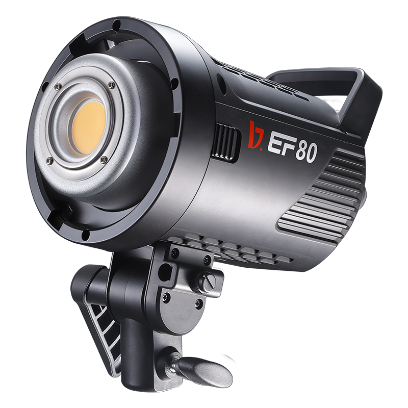 EF-80 LED Portable Video Light